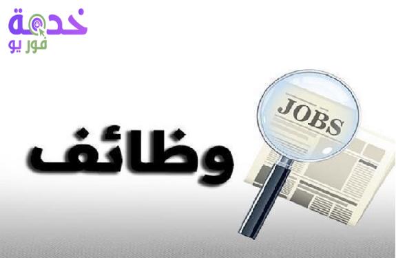 وظائف لجميع المؤهلات.. التفاصيل وكيفية التقديم